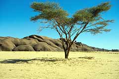 westliche Ausläufer des Ennedi (Tschad)